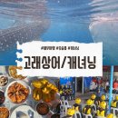 세부 오슬롭 고래상어 투어 캐녀닝 업체 솔직후기 (세친구투어)
