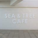 씨앤트리(Sea&Tree) 이미지