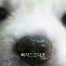 페인스톰잠실 이미지