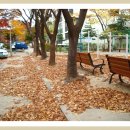 판암동209 이미지