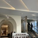 그랜드조선 부산 | 해운대 5성급 호캉스와 헤븐리풀 야외수영