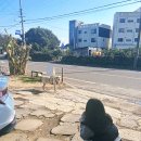 면관하이재 | 표선면 고기국수 제주 시골맛집 면관하이재