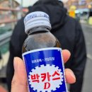 천북 굴단지 맛집 보령 현지인 토박이 추천 청수굴집수산
