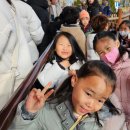 정도태권스쿨 이미지