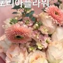 유포리아플라워 이미지