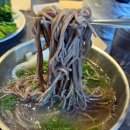 [서울] 강남역 사계진미 숯불닭갈비 무한리필 맛집