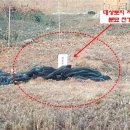 교동면-3 이미지