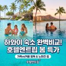 천면(부지1리) | 하와이 오아후 숙소 추천: 가족여행 vs 신혼여행 와이키키 호텔 완벽 비교(ft. 봄맞이 특가 팁)