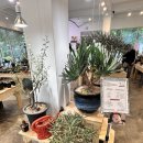 [파주/헤이리] 노플랜 콜렉트샵 후기