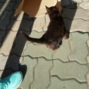 프린스실용음악학원 이미지