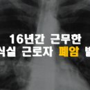 대한세이프티 이미지