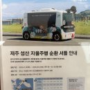 파리바게트길 | 태교여행) 제주3일차 성산맛집추천 성산을본갈치, 제주공항 파리바게트 마음샌드 후기