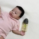 그린맘 | 👉 신생아젖병추천, 배앓이 예방젖병 그린맘 PPSU젖병 솔직후기 (+세척솔까지)