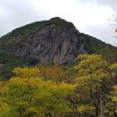 청송 Daum카페
