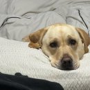 봉화사우나 | 신라모노그램 시안(위치, 수영장, 헬스장) 그리고 1월의 서안 여행 후기🥶