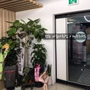 아름다워짐 이미지