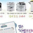 로뎀사무기 이미지