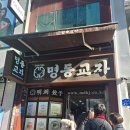 호수약국 | 명동교자 본점 스타벅스 명동역 가메골손왕만두 남시약국 다녀온 후기