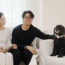 디자인쥬뜨