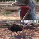새인농장 한국경제