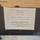 [부산] 가성비 광안리 오션뷰 호텔 &#39;센트럴 베이&#39; 부산 나홀로 여행 /내돈내산 후기