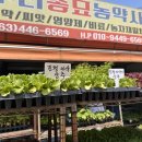 우리종묘농약사 이미지
