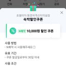 야자 통영여객선터미널점 이미지
