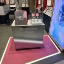 안성베네스트G.C | 시계브랜드 스와치 20대 여자 손목시계추천 ㅣ BLOSSOME TIME 컬렉션 페탈찹( PETAL CHARM ) 내돈내산 후기
