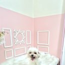 내개로와 이미지