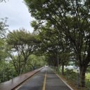 부산터널 1 | 국토종주(인천-부산) 1일차 후기