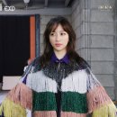 플러스B Daum카페