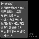 황학균동물병원 이미지
