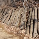 영농조합법인 장촌마을 이미지