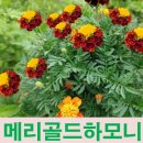 티티산업