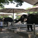 해뜸3농장 이미지