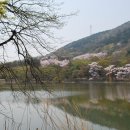장복산길 이미지