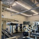 바디 컨피던스 이미지