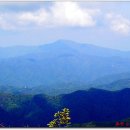 신읍리율대 이미지