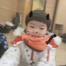 한국체대스타태권도장 이미지