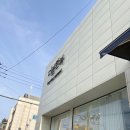 더 봄 이미지