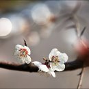 갯벌이야기 이미지