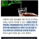 소주가 맛있는 이유 이미지