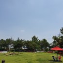 정남농촌체험휴양마을 | [수원/화성] 정남농촌체험휴양마을 애견운동장 다녀왔어요! 대형견가능!