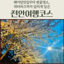 신세계로 (구.호화반점) | 천안 여행 코스 추천｜목화반점 웨이팅 성공부터 소노벨 오션어드벤처, 벚꽃 명소까지