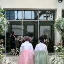 아이폰 스냅 작가인 제가 제 결혼식을 위해 선택한 곳은요…? 바로 유니스냅