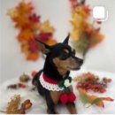 까까주까 이미지