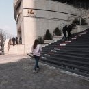 [블랑뮤즈]합정 메세나폴리스, 맥도날드, 홍대 젠틀몬스터
