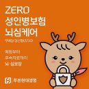 보험케어