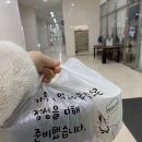 덮다덮밥 이미지