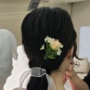 카이모 이미지